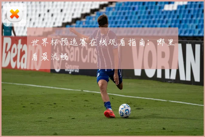 世界杯预选赛在线观看指南：哪里看最流畅