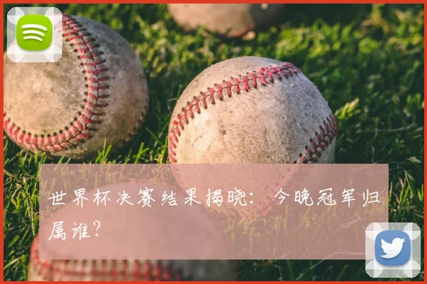 世界杯决赛结果揭晓：今晚冠军归属谁？