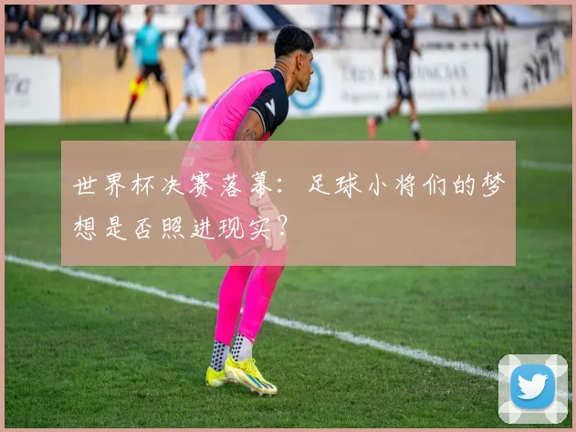 世界杯决赛落幕：足球小将们的梦想是否照进现实？
