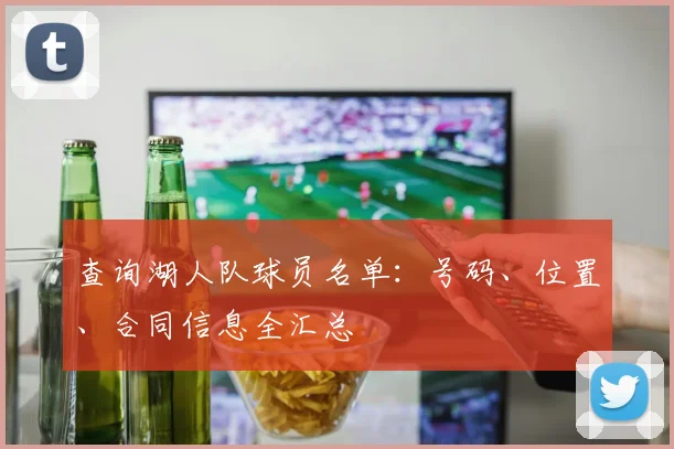 查询湖人队球员名单：号码、位置、合同信息全汇总