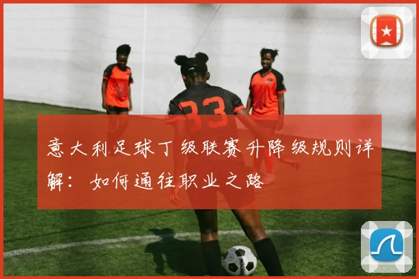 意大利足球丁级联赛升降级规则详解:如何通往职业之路